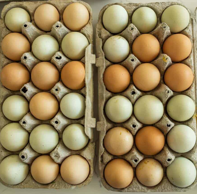 Farm Fresh Eggs - 1 Dozen